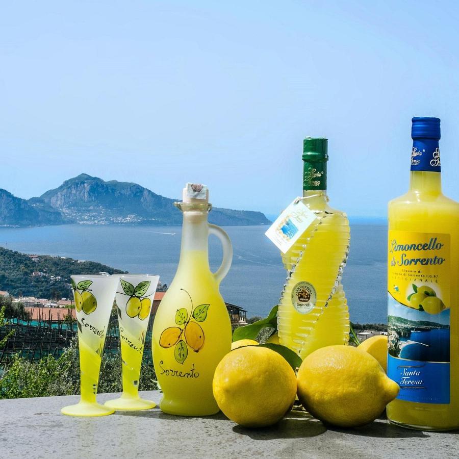 B&B Mamma Sorrento Holidays Eksteriør billede